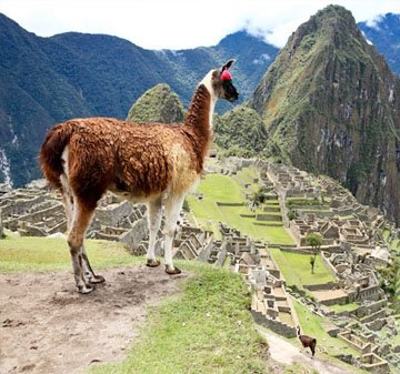 Cheap flights to South America From London - Travel Wide Flights