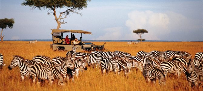The Serengeti National Park