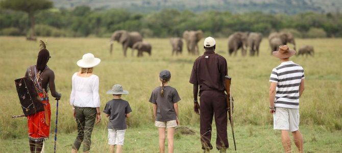 Visit the Top Destinations of the African Continent Visit the Top Destinations of the African Continent