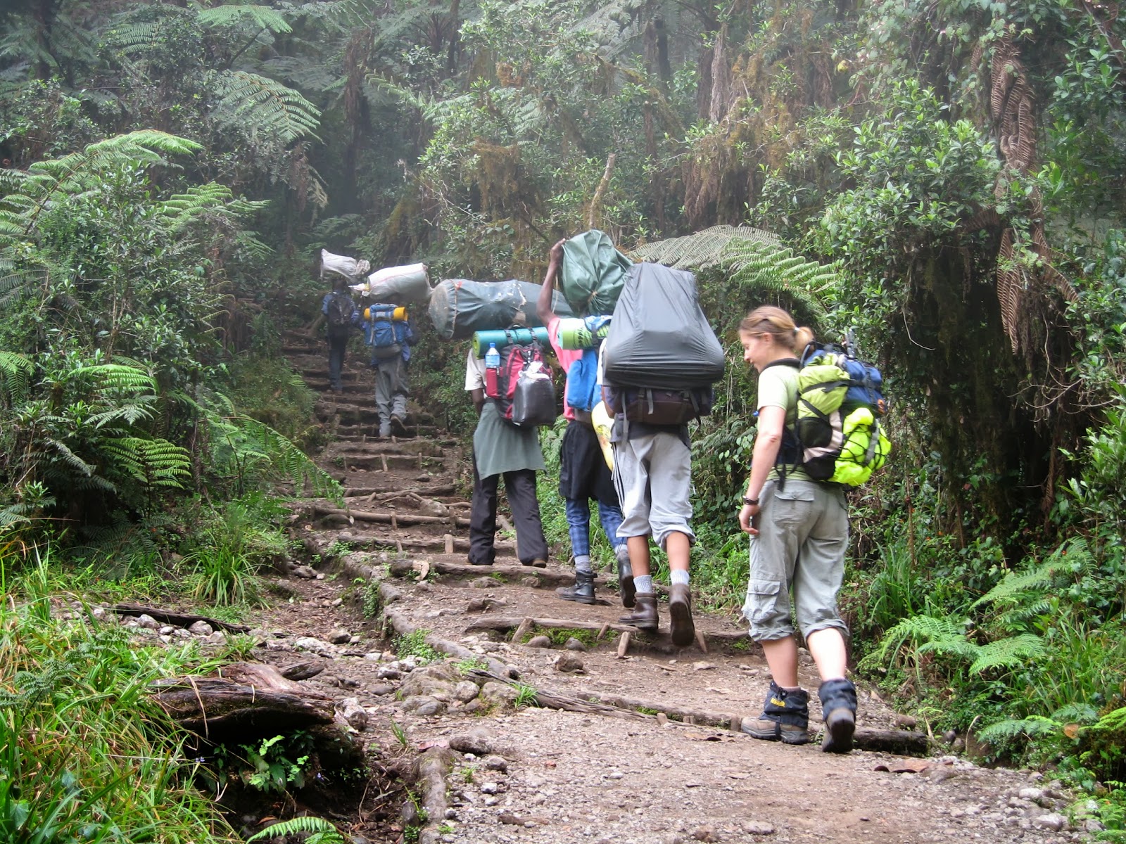 The Mount Kilimanjaro Climbing Trails | Cheap Flights To Kilimanjaro