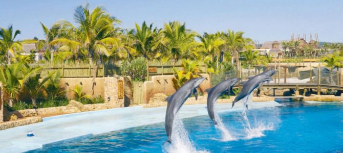 South Africa Travel Plans | Cheap Flights To South Africa South Africa Travel Plans | Cheap Flights To South Africa
