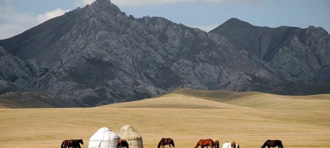 Do you want to travel on the Silk Road?