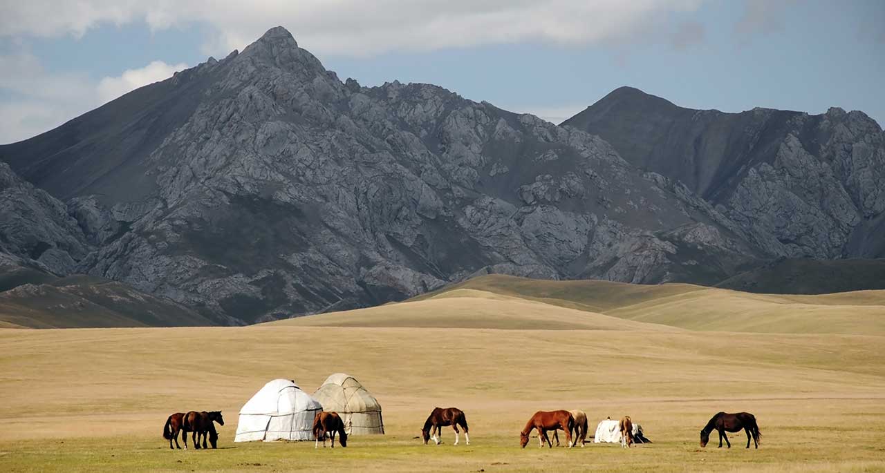 Do you want to travel on the Silk Road?