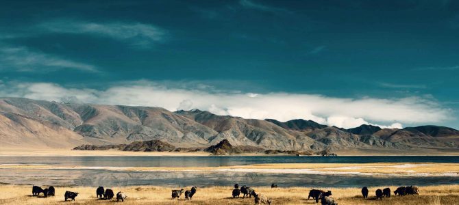 Plan an Imperturbable visit to Mongolia | Cheap Flights To Mongolia
