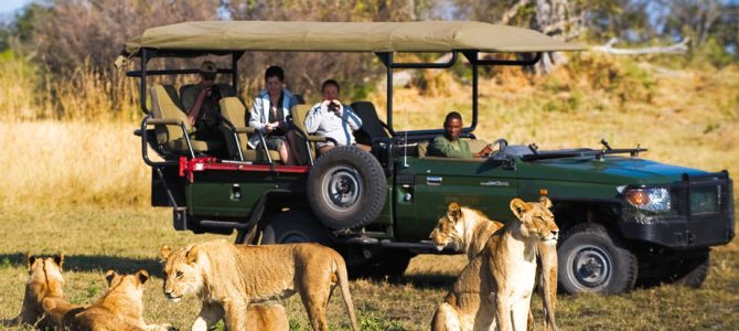 Best December Destinations in Africa | Cheap Flights To Africa