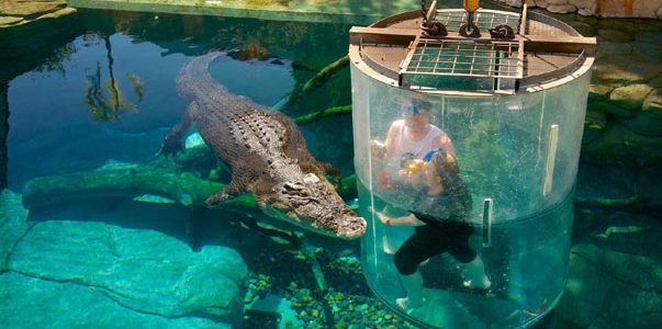 Cheap Flights To Darwin