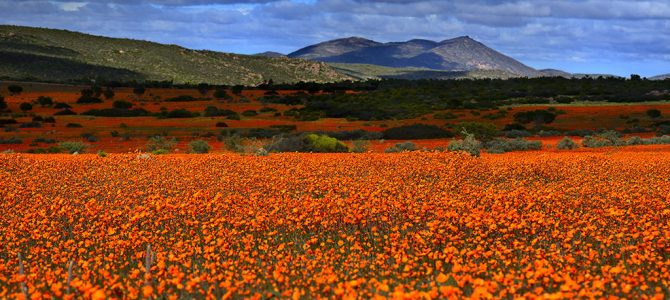 Natural Wonders In Africa