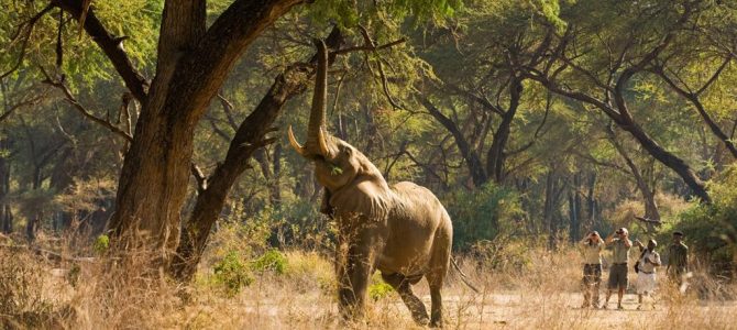Zambia Tourist Attraction