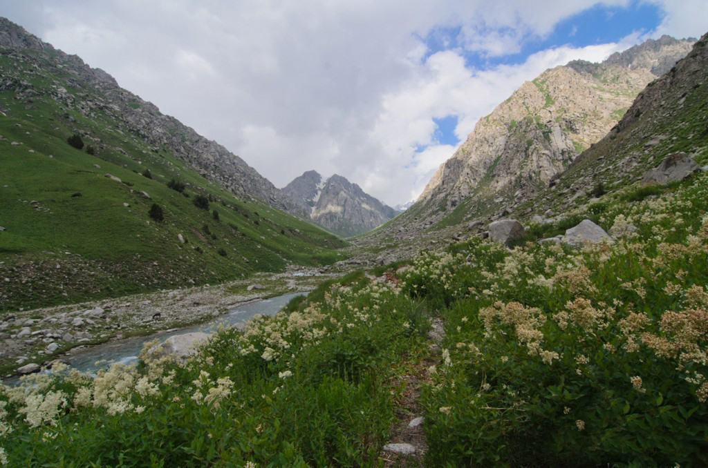 Hissar Reserve, Bargain Flights, Bargain Flights From London, Blog, Cheap Flights, Cheap Flights From London, cheap flights from united kingdom, cheap flights to Dushanbe Tajikistan, cheap tickets, cheap travel, direct flights, direct flights to Dushanbe Tajikistan, Emirates Airline, flights, Flights Booking, Flights From London, Flights From United Kingdom, Kenya Airways, last minute flights, last minute flights to Dushanbe Tajikistan, Dushanbe food, Qatar Airways, special offers, travel, Travel Wide Flights, Traveling, Turkish Airlines, United Kingdom, Dushanbe, Dushanbe cuisine, Dushanbe food, Dushanbe Travel Guide, Taipei Blog, Dushanbe blog, Dushanbe tourism, Dushanbe travel blog, Dushanbe tour, Dushanbe tourism places