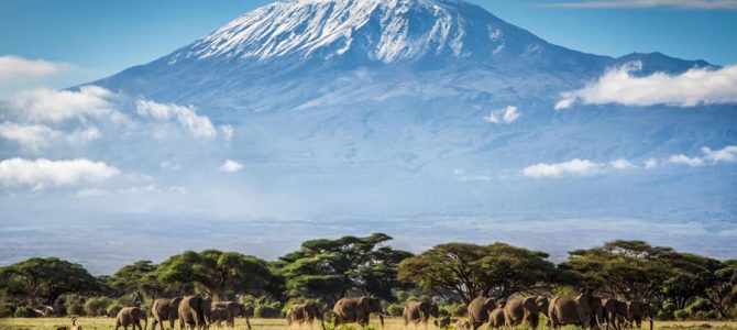 Tourism Attraction To Visit In Kilimanjaro Tourism Attraction To Visit In Kilimanjaro
