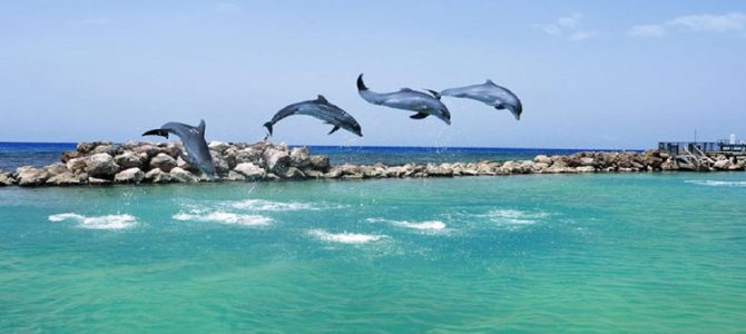 Things To Do In Jamaica