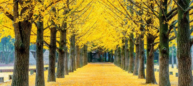 Places To Visit In South Korea Places To Visit In South Korea