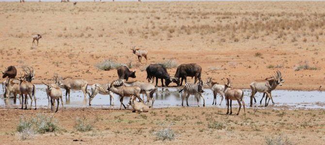 Cheap Flights To Kimberley Cheap Flights To Kimberley
