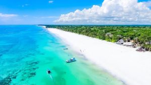 Kenya, Bargain Flights, Bargain Flights From London, Blog, Cheap Flights, Cheap Flights From London, cheap flights from united kingdom, cheap flights to Mombasa Kenya, cheap tickets, cheap travel, direct flights, direct flights to Mombasa Kenya, Emirates Airline, flights, Flights Booking, Flights From London, Flights From United Kingdom, Kenya Airways, last minute flights, last minute flights to Mombasa Kenya, Mombasa food, Qatar Airways, special offers, travel, Travel Wide Flights, Traveling, Turkish Airlines, United Kingdom, Mombasa, Mombasa cuisine, Mombasa food, Mombasa Travel Guide, Mombasa Blog, Mombasa blog, Mombasa tourism, Mombasa travel blog, Mombasa tour, Mombasa tourism places