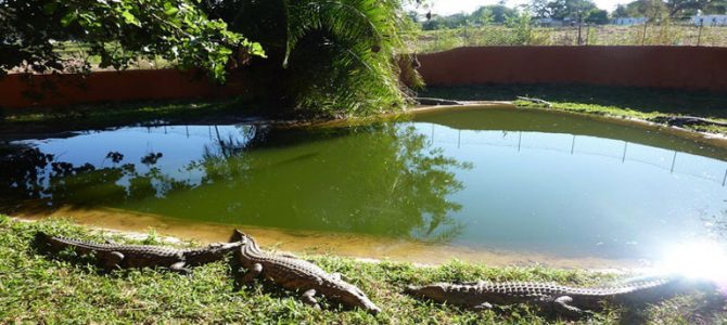 Cheap Flights To Lusaka Cheap Flights To Lusaka