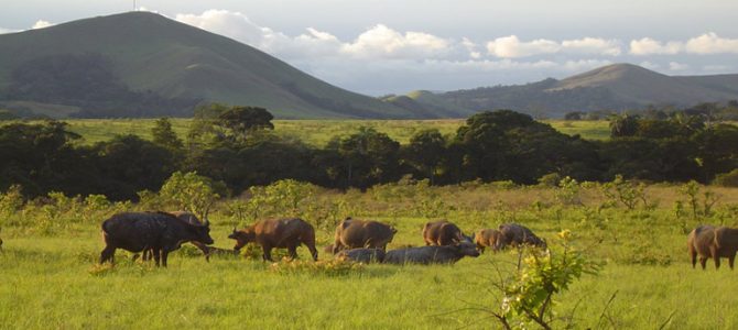 Cheap Flights To Gabon