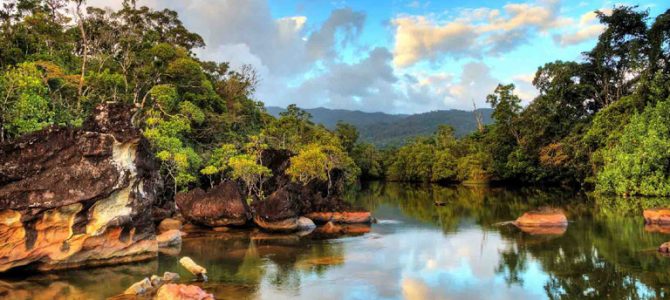 Cheap Flights To Madagascar