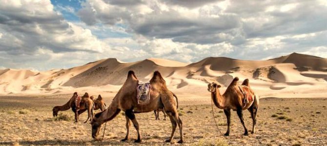 Beautiful Places To Visit In Mongolia