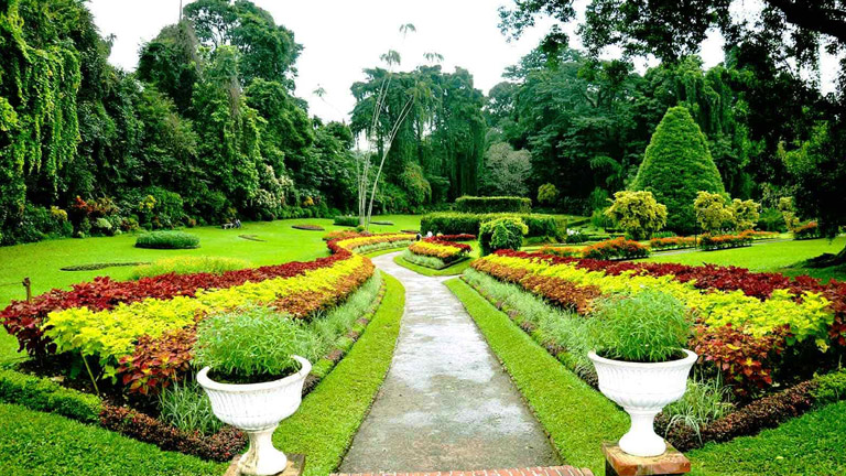  Bargain Flights, Bargain Flights From London, Blog, Cheap Flights, Cheap Flights From London, cheap flights from united kingdom, cheap flights to Colombo Sri Lanka, cheap tickets, cheap travel, direct flights, direct flights to Colombo Sri Lanka, Emirates Airline, flights, Flights Booking, Flights From London, Flights From United Kingdom, Kenya Airways, last minute flights, last minute flights to Colombo Sri Lanka, Colombo food, Qatar Airways, special offers, travel, Travel Wide Flights, Traveling, Turkish Airlines, United Kingdom, Colombo, Colombo cuisine, Colombo food, Colombo Travel Guide, Sri Lanka Blog, Colombo blog, Colombo tourism, Colombo travel blog, Colombo tour, Colombo tourism places