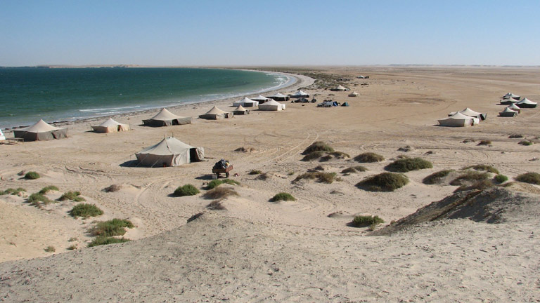 Bargain Flights, Bargain Flights From London, Blog, Cheap Flights, Cheap Flights From London, cheap flights from united kingdom, cheap flights to Nouakchott Mauritania, cheap tickets, cheap travel, direct flights, direct flights to Nouakchott Mauritania, Emirates Airline, flights, Flights Booking, Flights From London, Flights From United Kingdom, Kenya Airways, last minute flights, last minute flights to Nouakchott Mauritania, Nouakchott Mauritania food, Qatar Airways, special offers, travel, Travel Wide Flights, Traveling, Turkish Airlines, United Kingdom, Nouakchott Mauritania, Nouakchott Mauritania cuisine, Nouakchott Mauritania food, Nouakchott Mauritania Travel Guide, Nouakchott Mauritania Blog, Nouakchott Mauritania blog, Nouakchott Mauritania tourism, Nouakchott Mauritania travel blog, Nouakchott Mauritania tour, Nouakchott Mauritania tourism places,