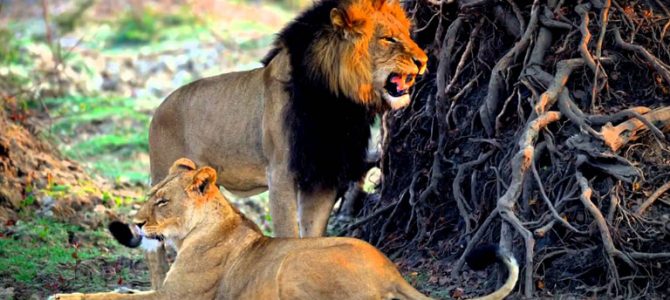 Cheap Flights To Zambia Cheap Flights To Zambia